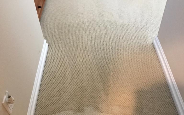 carpet cleaning in San Clemente CA