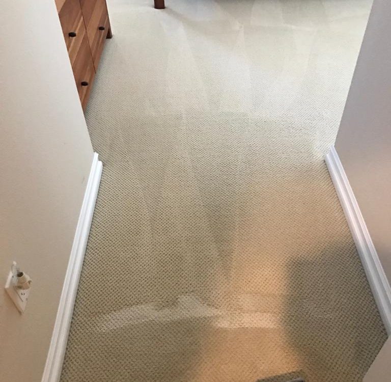 carpet cleaning in San Clemente CA
